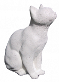 Chat attentif